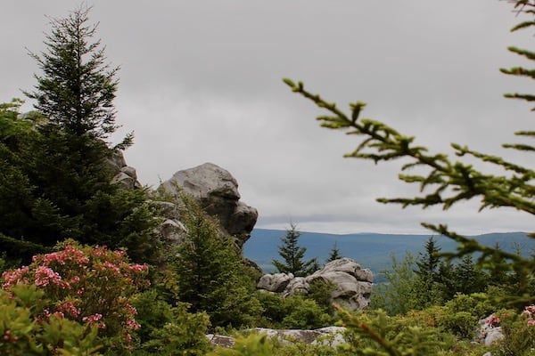 Dolly Sods, West Virginia