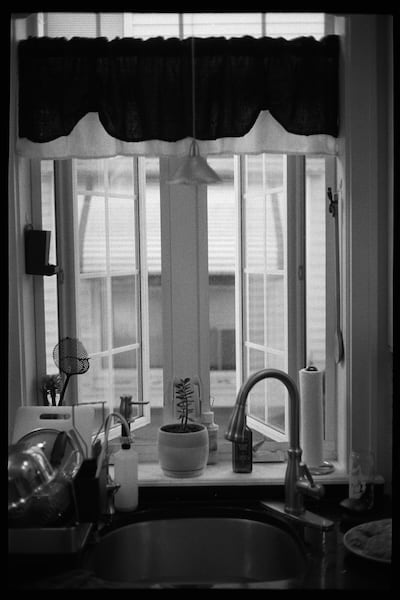 Kitchen Window