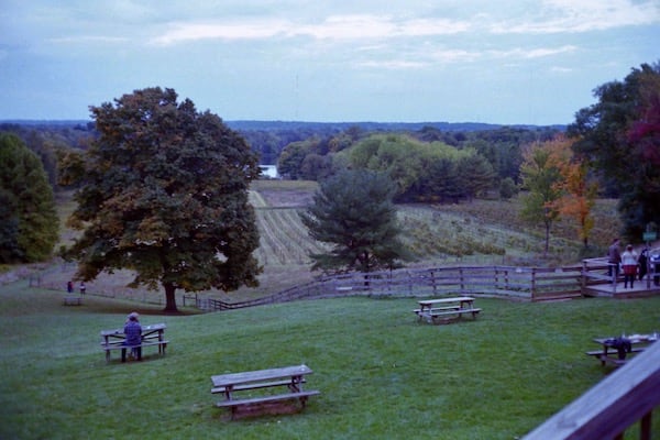 The Winery at Wolf Creek