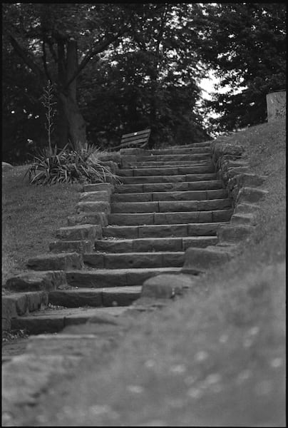 Stairway to Mums