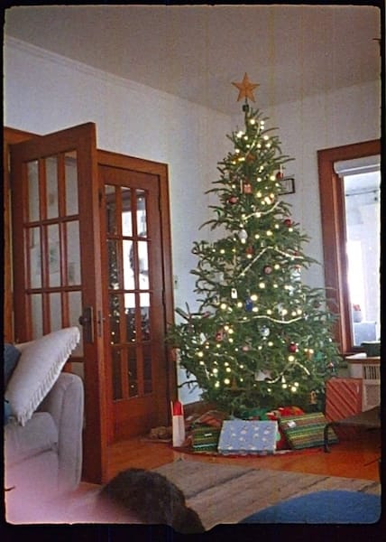 Christmas Tree