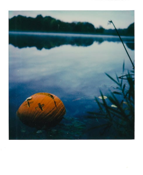 Jack O'Lantern swimming with the fishes