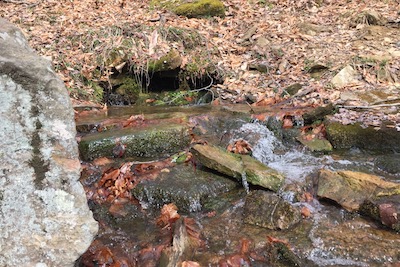 A spring coming out of the side of a mountain