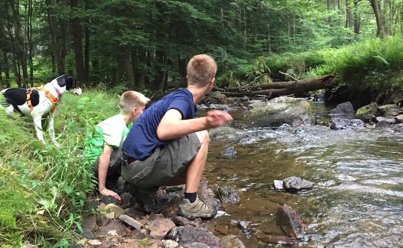 The water doesn't go all the way up to the bank in August