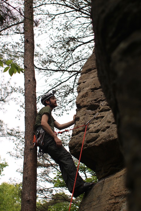 Matt evaluating 'Kentucky Pinstripe'