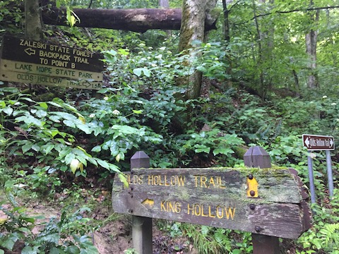 Many trail signs ... for trails which do not appear on the Zaleski map at the information kiosk