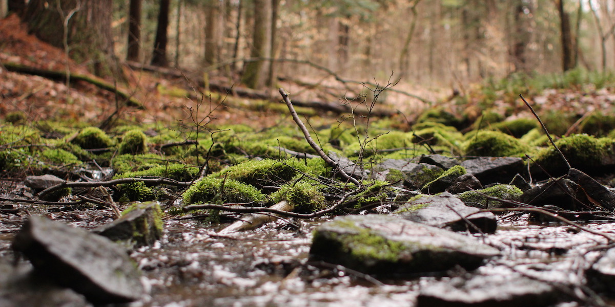 Backpacking Oil Creek State Park