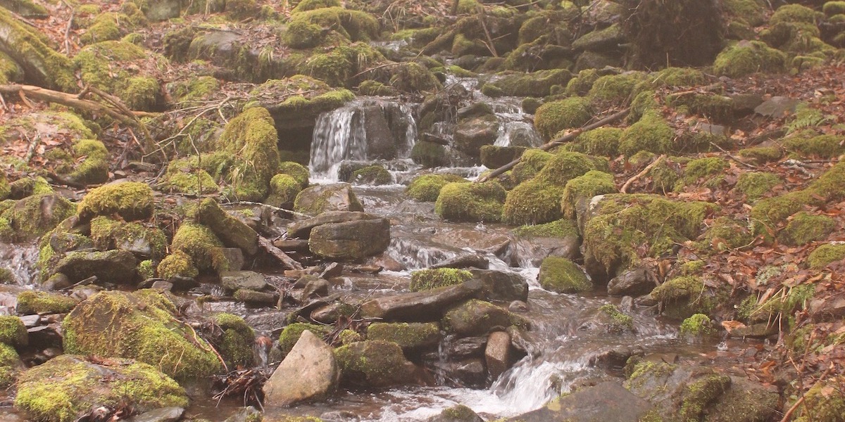 Judy Springs, which feeds into Seneca Creek