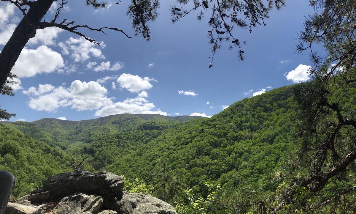 Looking east from the backside of Seneca Rocks