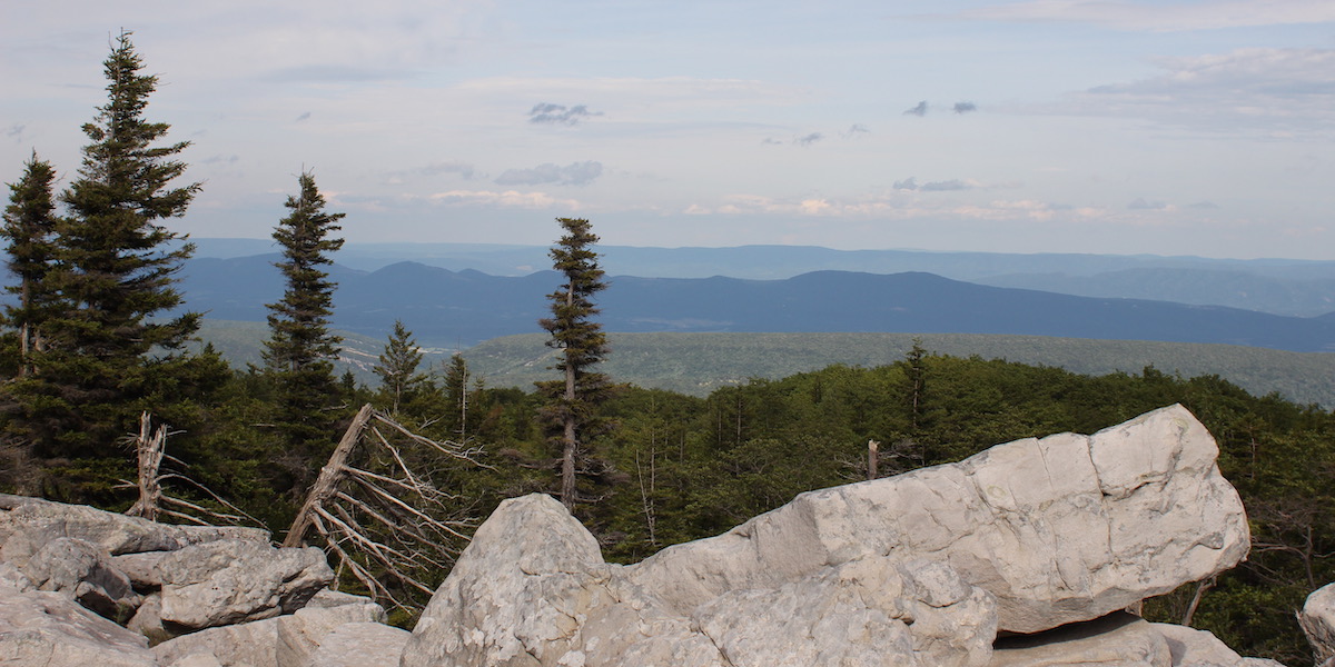 Looking over the Bear Rocks area from forest road 75 