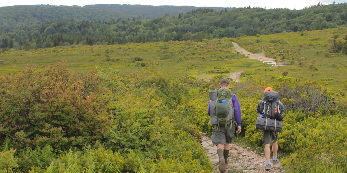 Starting down the Bear Rocks trail (TR 522)