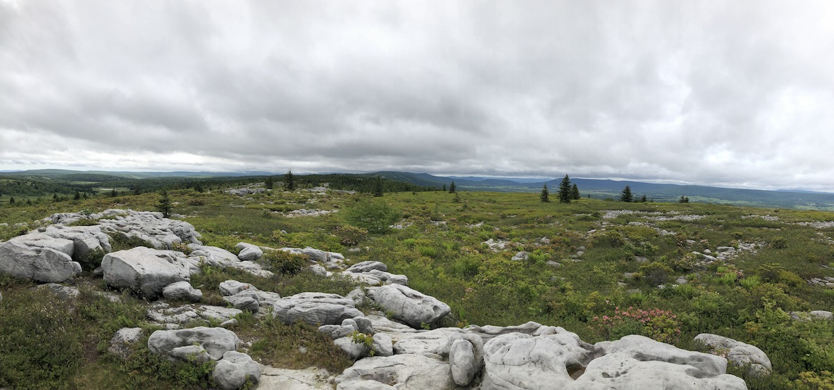 Looking westward from the Rocky Ridge trail (TR 524)