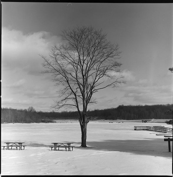 Hasselblad 503cx, Carl Zeiss Planar 2.8/80 T*, Kodak Verichrome Pan, F76+