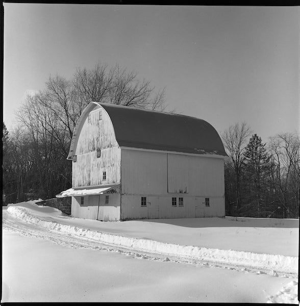 2022-02-05, Hasselblad 503cx, Carl Zeiss Planar 2.8/80 T*, ƒ/5.6, 1/500, Kodak Verichrome Pan, F76+