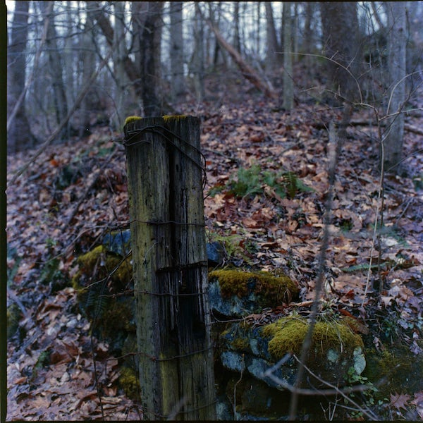 Hasselblad 503cx, Carl Zeiss Planar 2.8/80 T*, f/5.6, 1/30, (+2 EV from meter), Kodak Vericolor III, Cs41