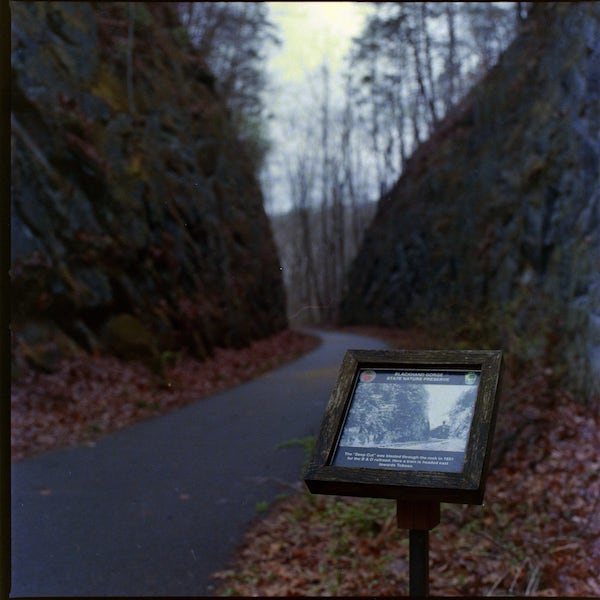 Hasselblad 503cx, Carl Zeiss Planar 2.8/80 T*, f/5.6, 1/30, (+2 EV from meter), Kodak Vericolor III, Cs41