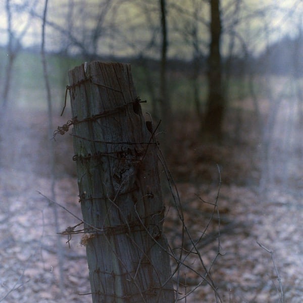 Hasselblad 503cx, Carl Zeiss Planar 2.8/80 T*, f/4, 1/60, (+2 EV from meter), Kodak Vericolor 400, Cs41