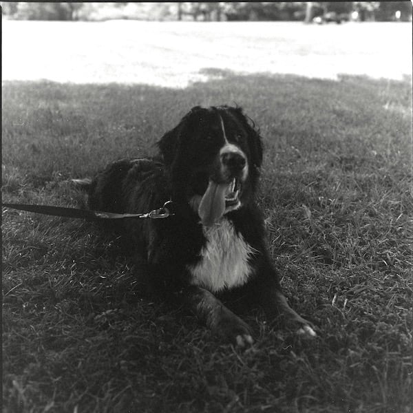 Hasselblad 503cx, Carl Zeiss Planar 2.8/80 T*, ƒ/5.6, 1/125, Kodak Plus-X Pan, F76+