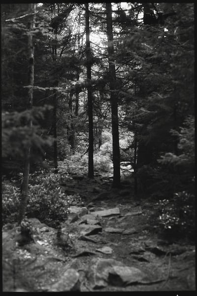 Minolta X-700, MC ROKKOR-PF 58mm 1.4, Foma 400 @ 500, XTOL 1:1