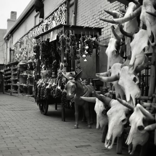 Hasselblad 203FE, Carl Zeiss Planar 2.8/80 T*, Kodak TMAX 100, HC110, Dilution B