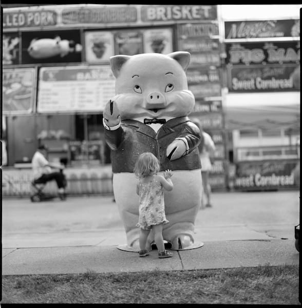 Hasselblad 203FE, Carl Zeiss Planar 2.8/80 T*, Ilford Pan F Plus 50, XTOL 1:1 Rotary